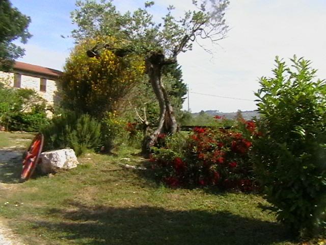 Il Casale Della Quercia Bauernhof Assisi