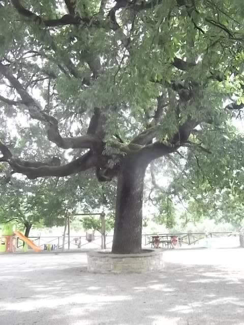 Il Casale Della Quercia Bauernhof Assisi