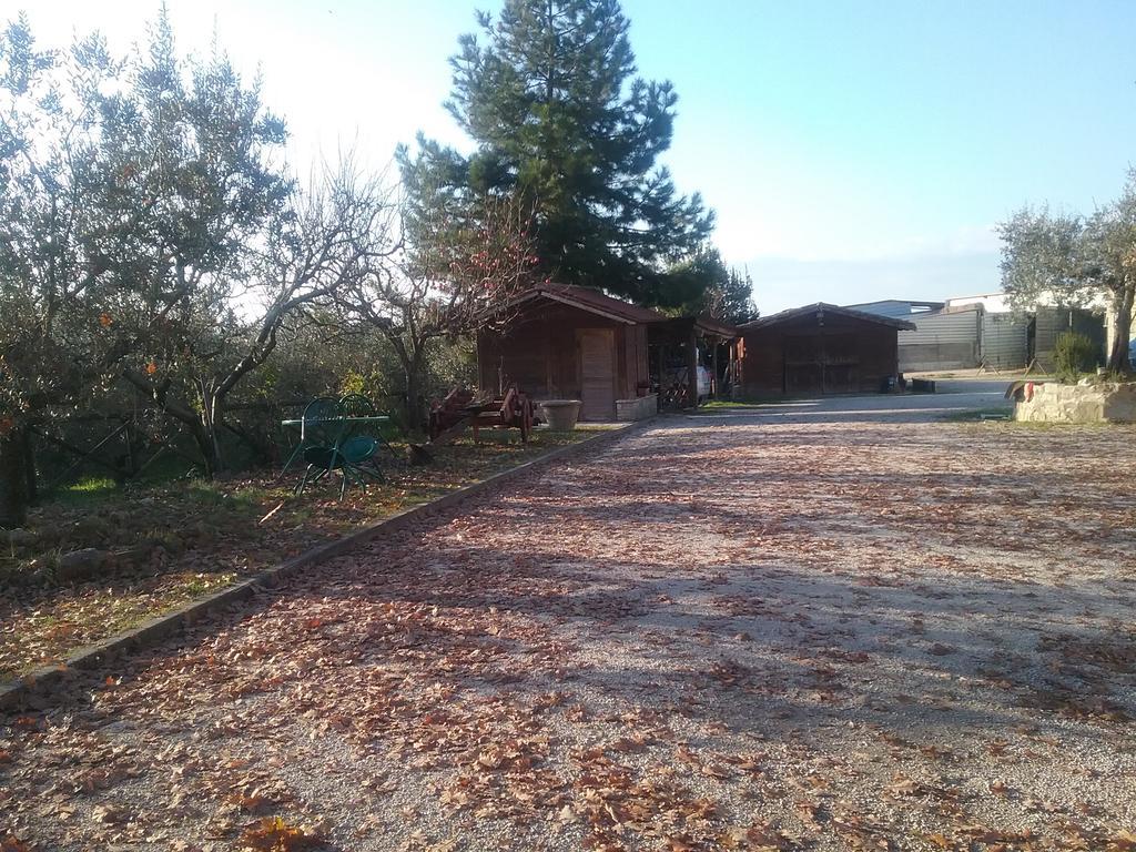 Bauernhof Il Casale Della Quercia Assisi