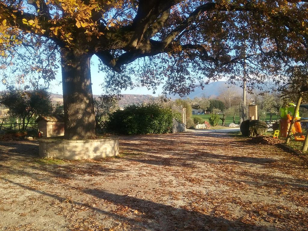 Il Casale Della Quercia * Assisi