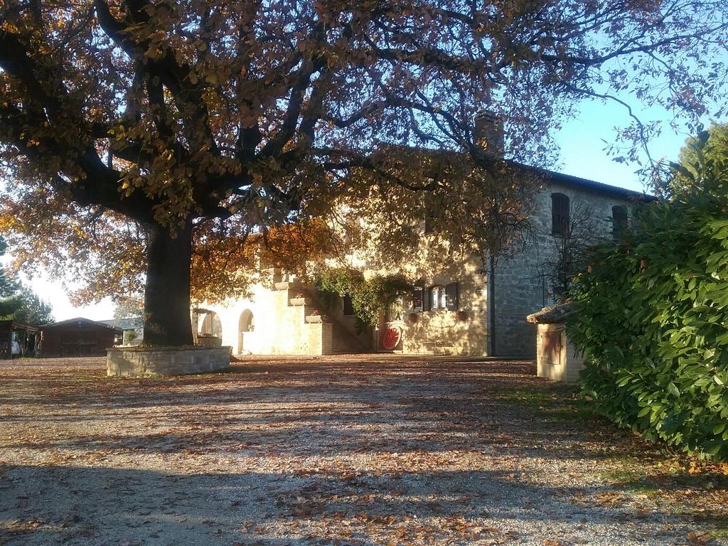 Il Casale Della Quercia Bauernhof