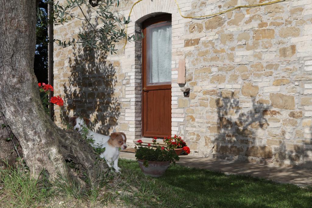 Bauernhof Il Casale Della Quercia *