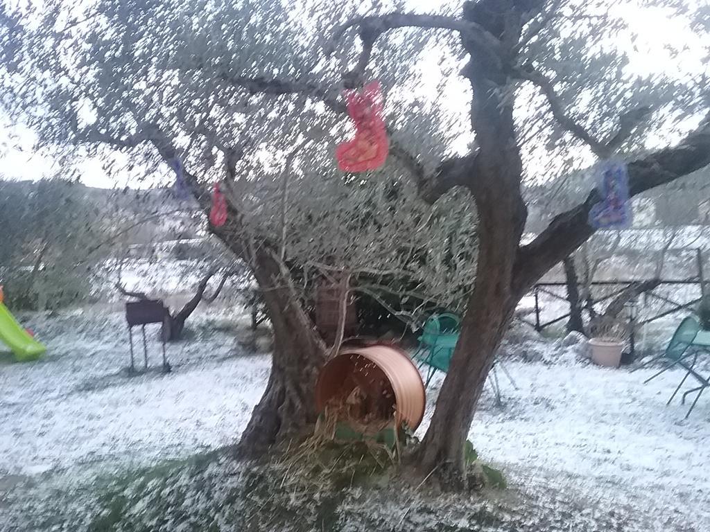Il Casale Della Quercia Bauernhof *