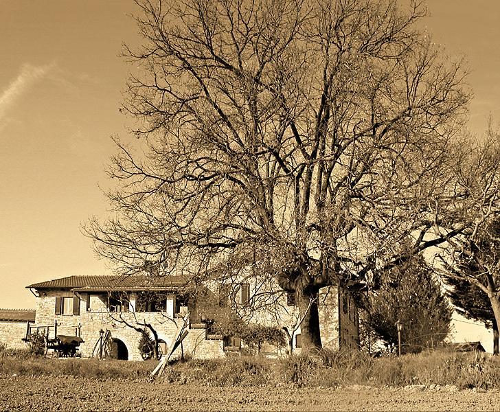 Il Casale Della Quercia Assisi