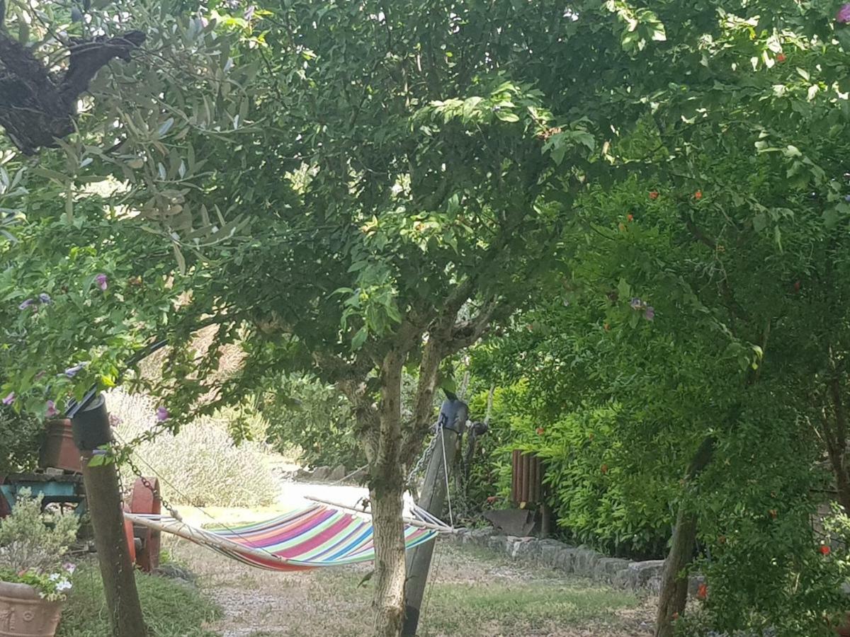 Il Casale Della Quercia Farm stay